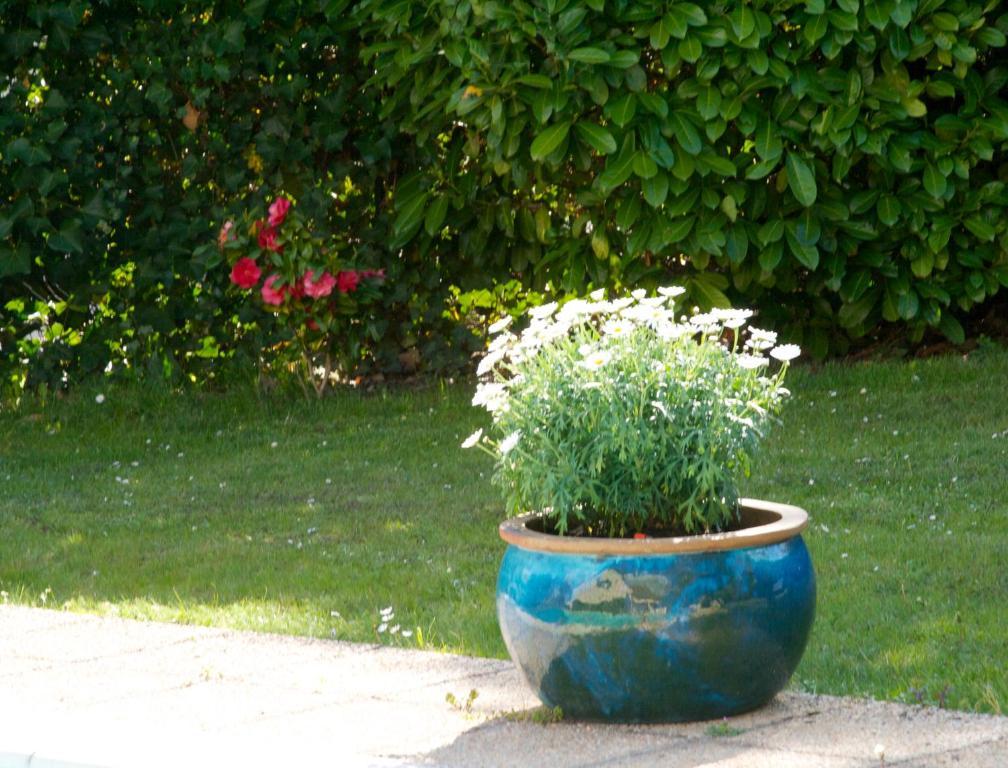 Les Hibiscus Bed & Breakfast Maisons-Laffitte Exterior photo